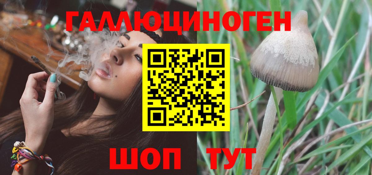 Псилоцибиновые грибы Psilocybine cubensis  Вход с VPN  Рассказово 